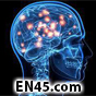 HOW TO ENHANCE YOUR MEMORY