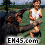 All research on the comparison between humans and apes is negated and new ground work is necessary