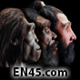 Human Origin