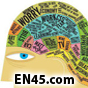 Five chemicals we call neurotransmitters and their crucial impact on our lives