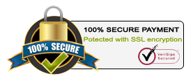 Secure Payment - Learn English ENG45